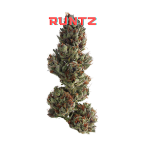 Runtz Clones for Sale, Sweet Cannabis, High THC Strain