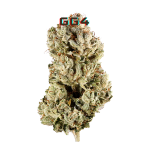 GG4 Clones, High THC Cannabis, Gorilla Glue #4, Indica Hybrid