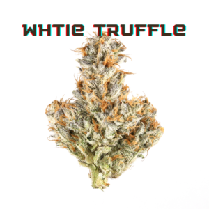 White Truffle Clones, Indica-Dominant Hybrid, Cannabis Cultivation